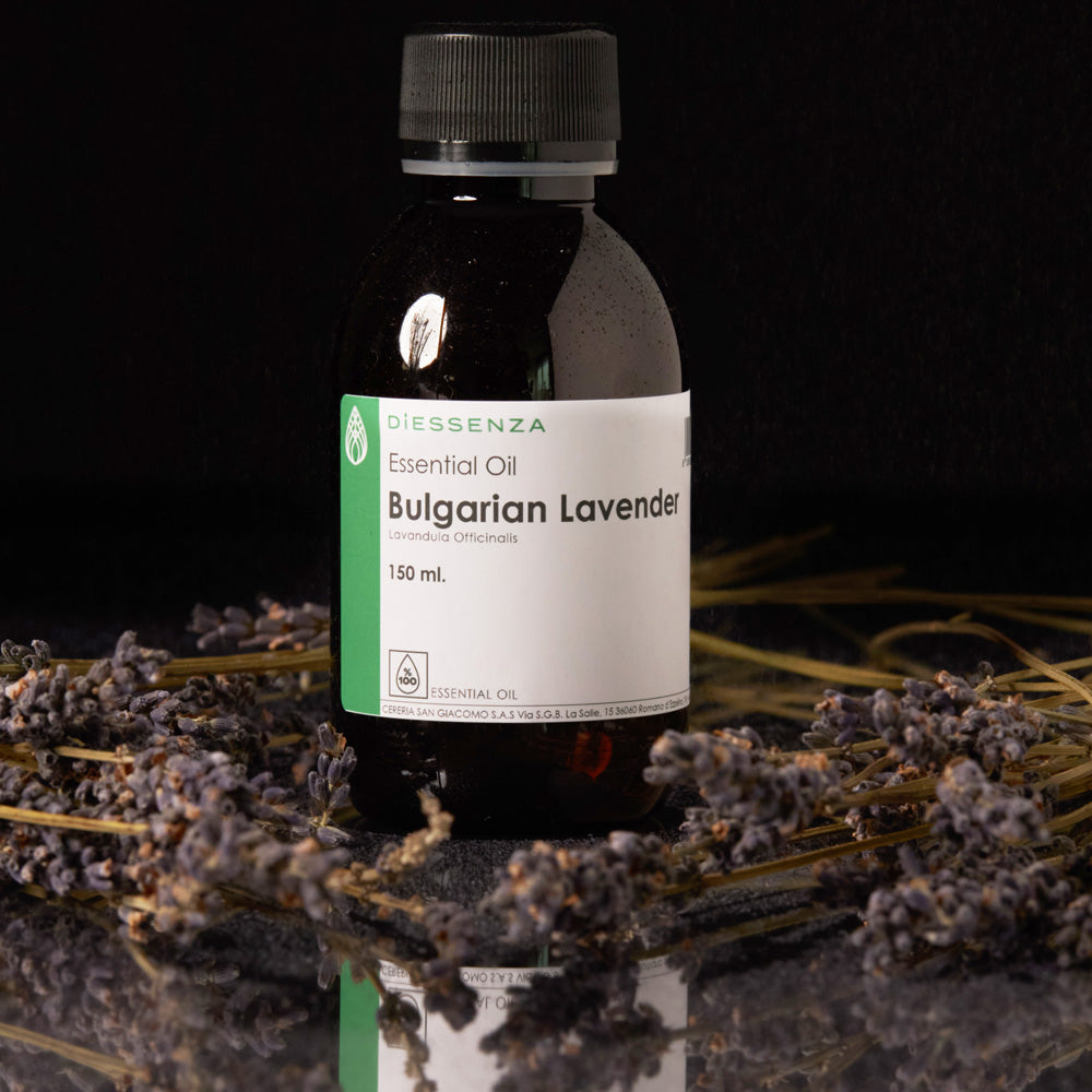 Olio Essenziale di Lavanda Bulgara per soia, cere naturali e da massaggio Cereria San Giacomo