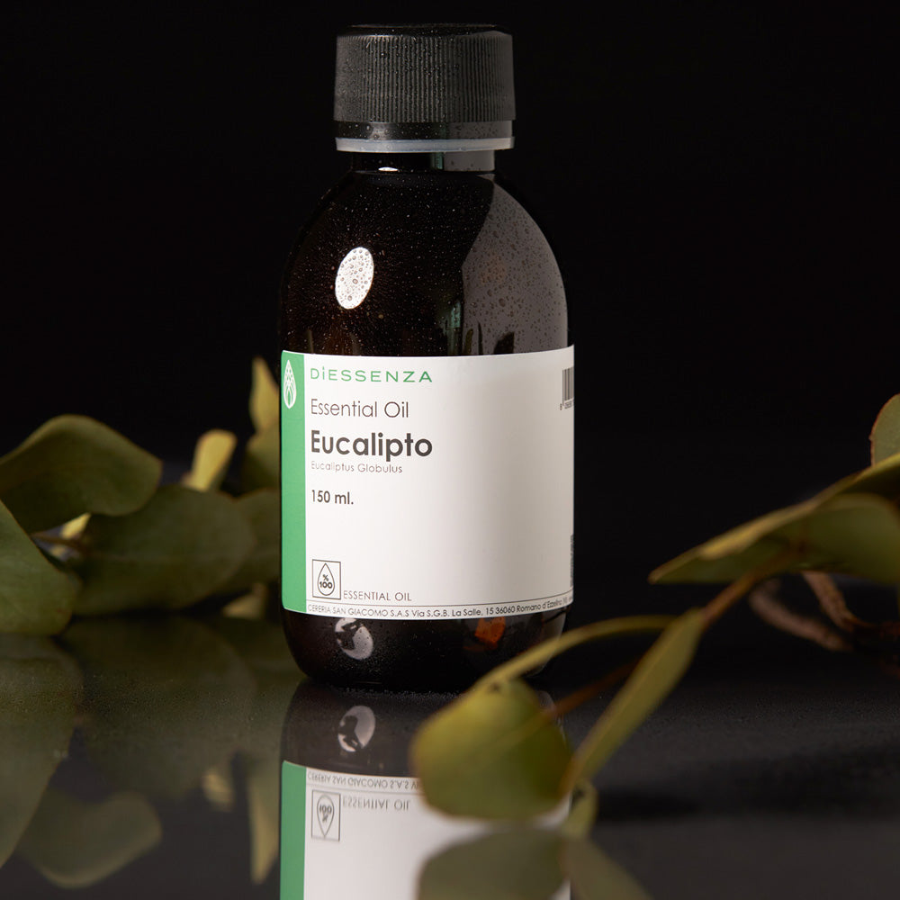 Olio Essenziale di Eucalipto Globulus per soia, cere naturali e da massaggio Cereria San Giacomo