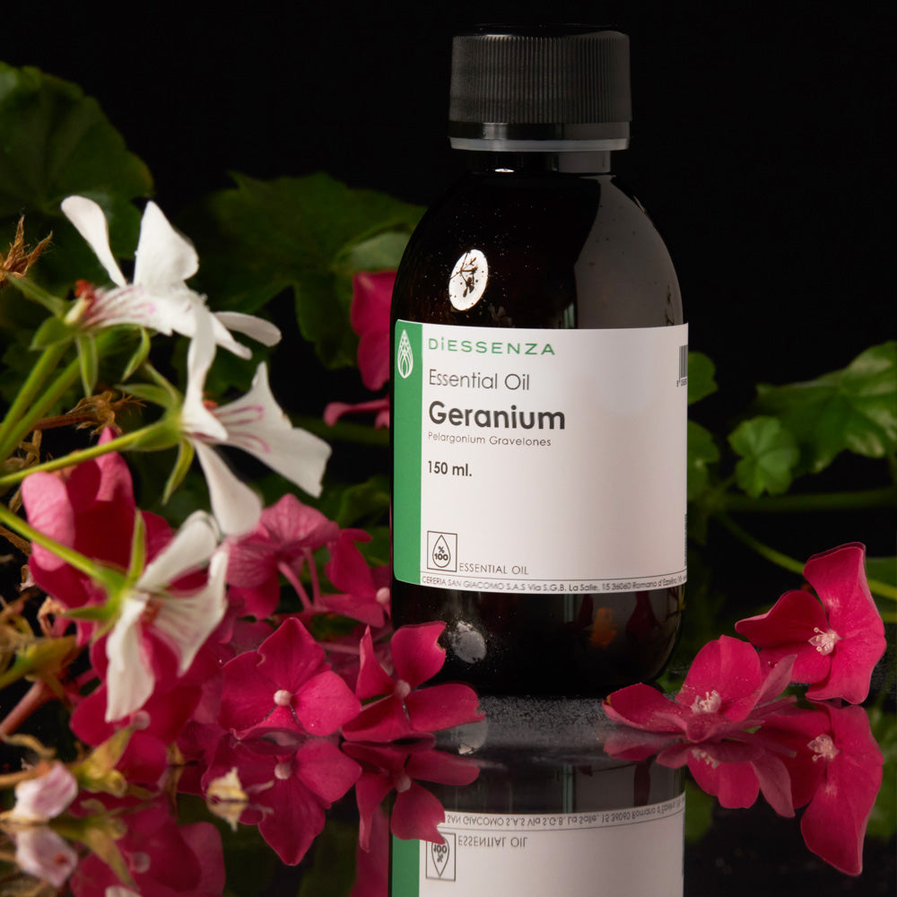 Olio Essenziale di Geranio per soia, cere naturali e da massaggio Cereria San Giacomo