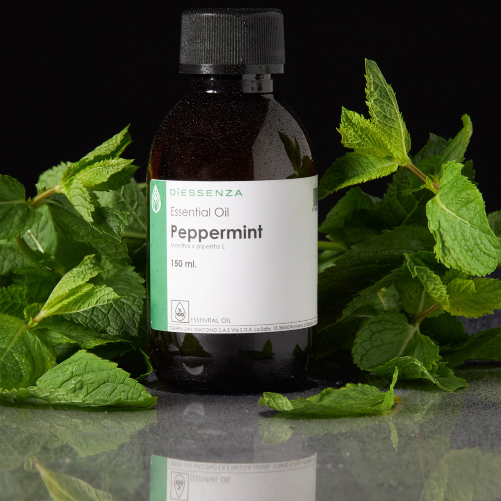 Olio Essenziale di Menta Piperita per soia, cere naturali e da massaggio Cereria San Giacomo