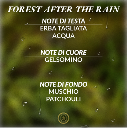 Forest After The Rain Cereria San Giacomo
