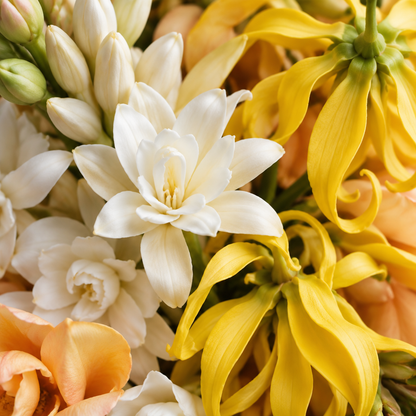 Ylang &amp; Tuberose (Ylang &amp; Tuberosa) Cereria San Giacomo