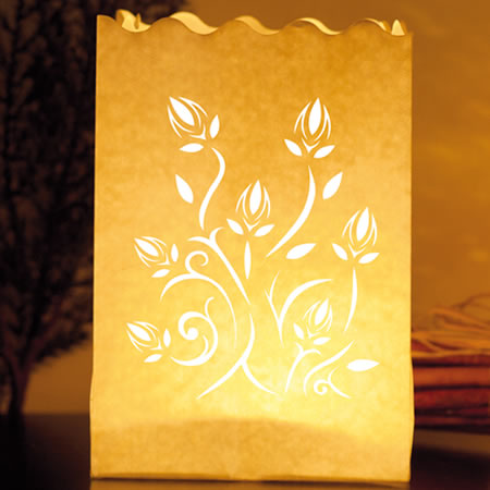 Lanterne di carta Mini &